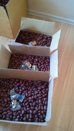 自家產新疆大棗，天然小棗，批發零售，品質之選